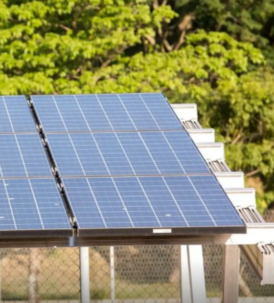 5º leilão do Eco Invest atrai quase R$ 50 bi para investimentos verdes