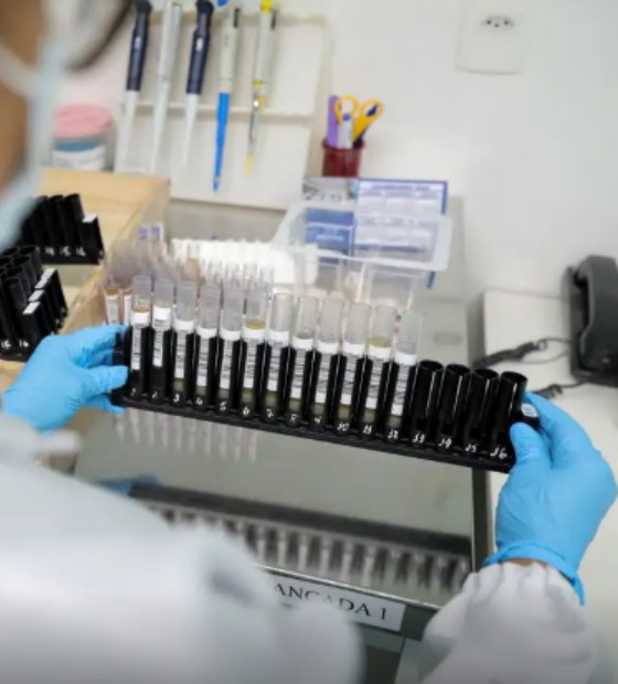 Malária: Anvisa autoriza teste em humanos de vacina 100% brasileira