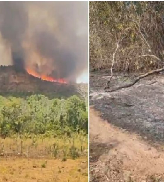Em OESTADONET: Queimadas avançam no oeste do Pará, ameaçam casas e mobilizam equipes de emergência