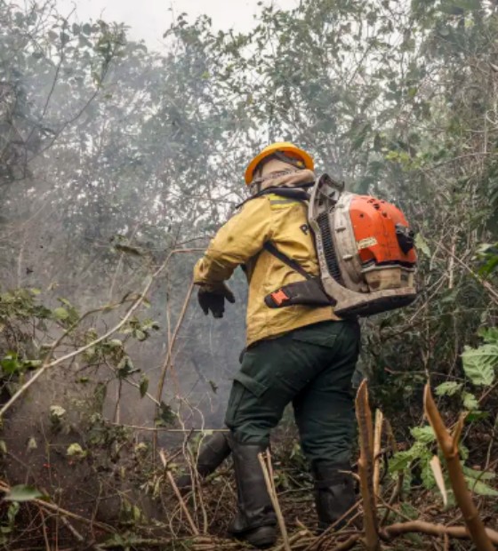 Incêdios no Amazonas resultam de ação humana intencional, diz ministro
