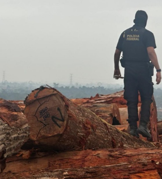 Operação Saldo Zero: Polícia Federal e Ibama combatem exploração e venda ilegais de madeira no Pará