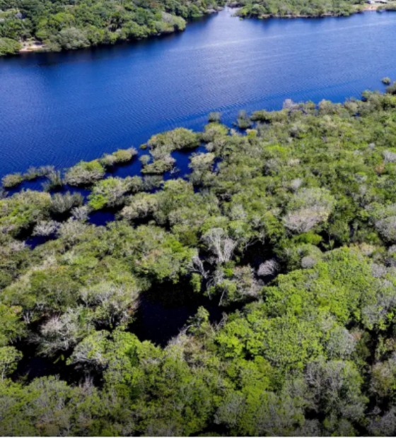 Desmatamento cai em áreas protegidas da Amazônia e do Cerrado